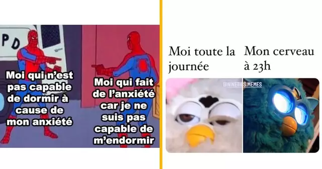 top memes insomnie