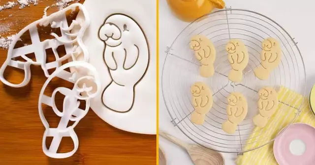 emporte-piece-lamantin