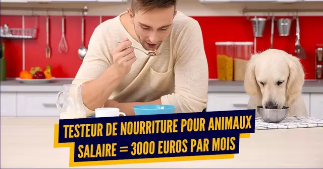 top metiers insolites bien payes (1)