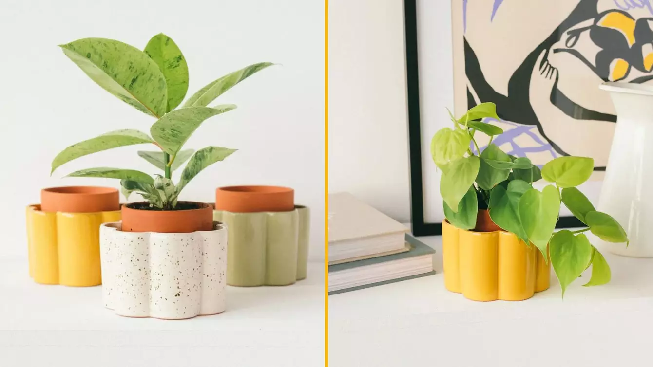 POT-ARROSOIR-AUTOMATIQUE-2