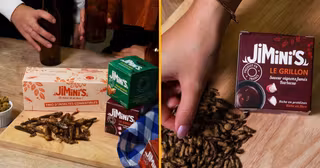 insectes-comestibles-apero-appetissant