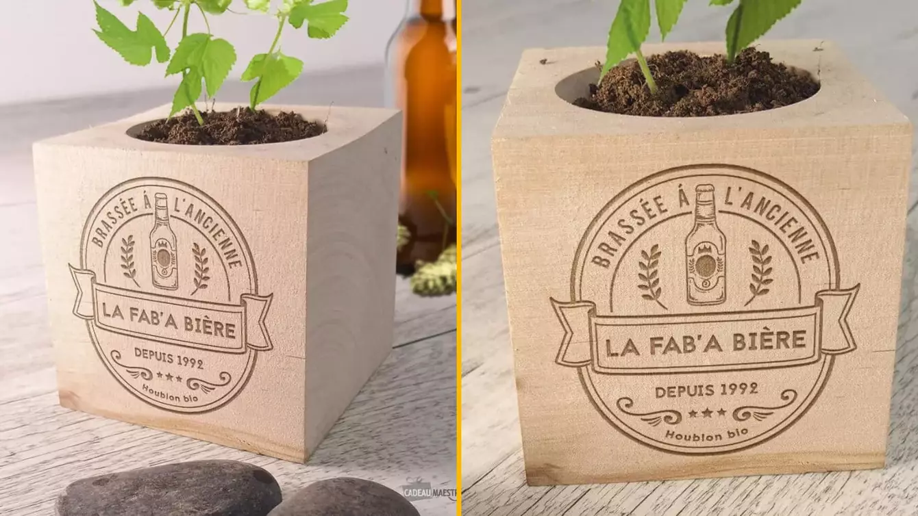 ecocube-houblon-biere