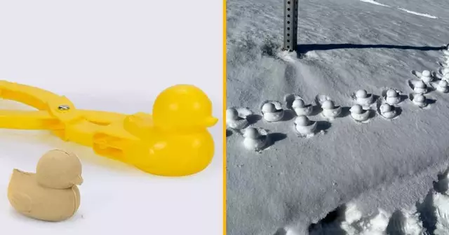 pince-boules-neige-canard