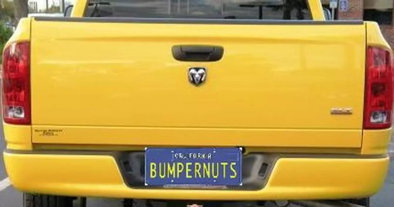bumpernuts