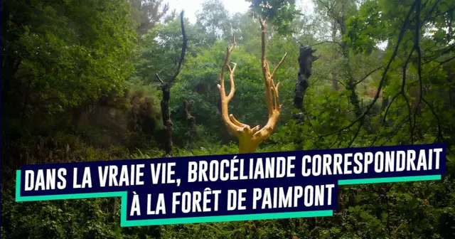 broceliande