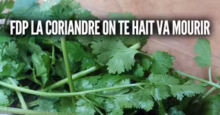 une-coriandre