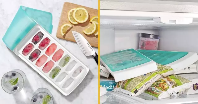 moule-glacon-refermable