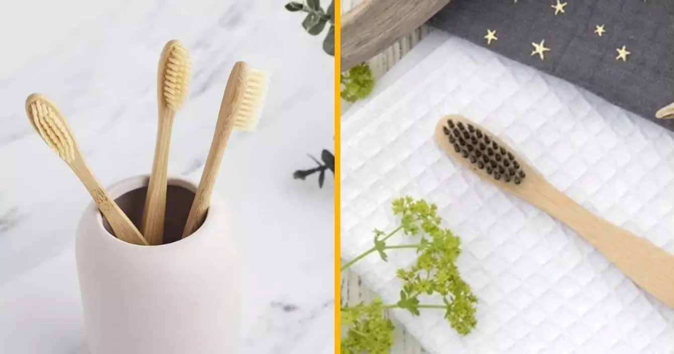 brosse-a-dents-bambou-plastique-organique-biodegradable