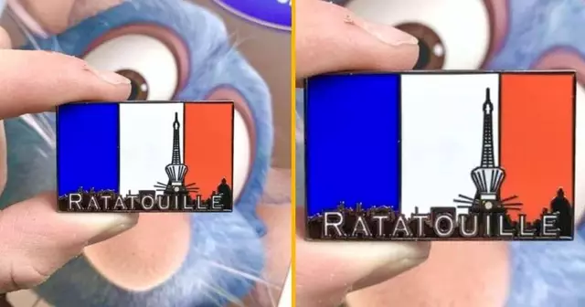 pins-ratatouille