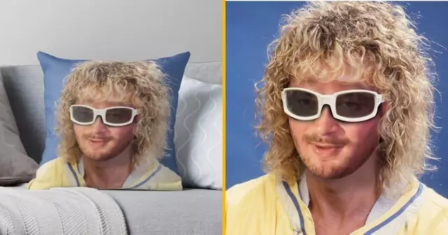 coussin-jul-polnareff