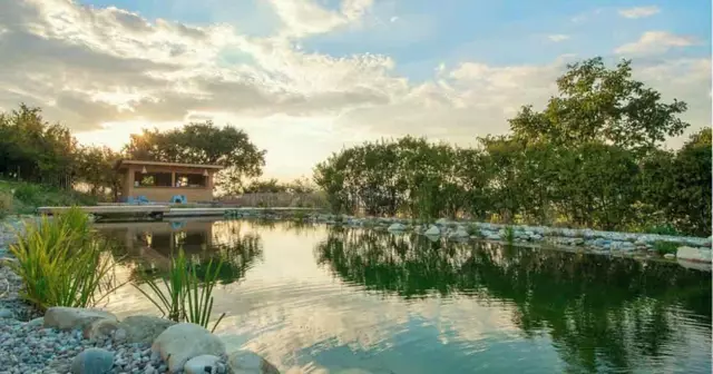 villa-piscine-naturelle-auvergne