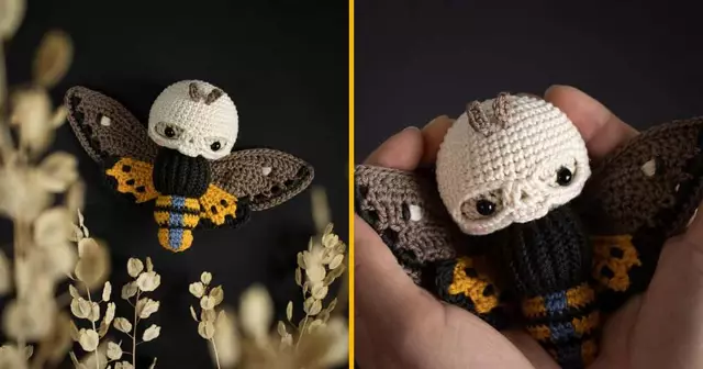 kit-crochet-fabriquer-papillon-squelette