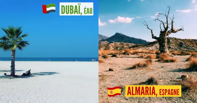 une_janvier_voyage_ok