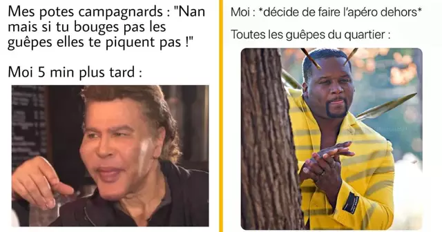 top memes guepes