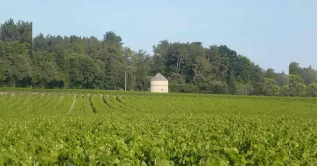 tour-insolite-milieu-vignes-languedoc-roussillon-midi-pyrenees