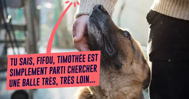 UNE_PARENTS_chien-mort-enfant