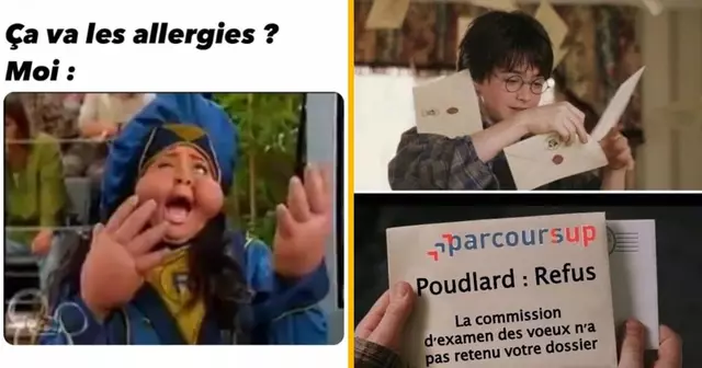top memes semaine 22