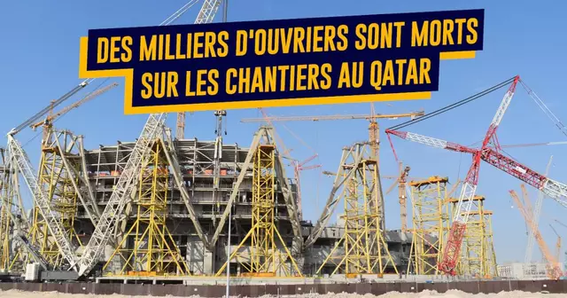 TOP coupe du monde qatar