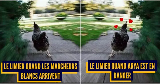 UNE_TOP_MEMES_GOT_S08E3