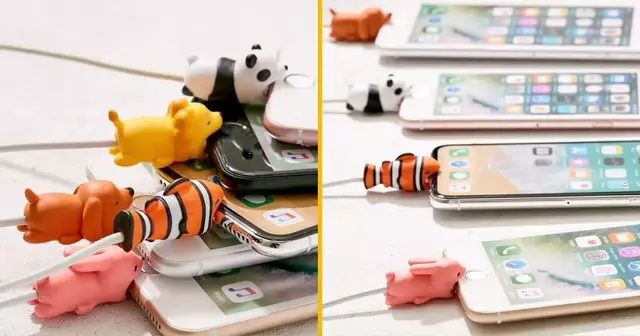 protege-cable-animaux