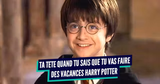 TOP VOYAGE HARRY POTTER