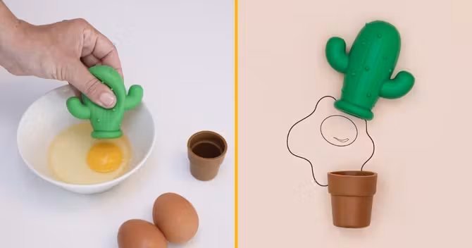 separateur-doeuf-cactus