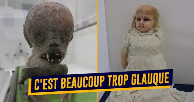 top musee flippant