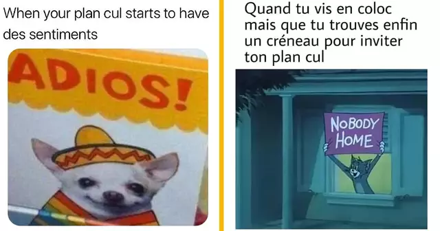 top memes plan cul
