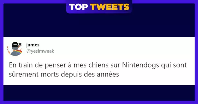 UNE_top-tweets-nintendo_ds