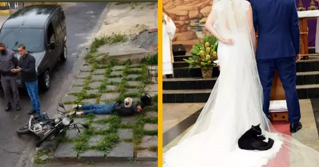 UNE_TOP_IMAGE_CHATS_POSES_NIMPORTE_OU