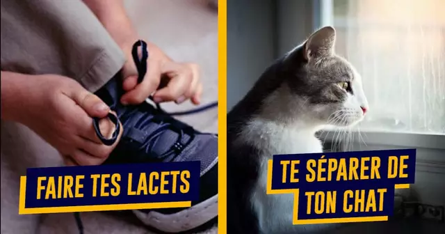 UNE_SAURA_PLUS_FAIRE