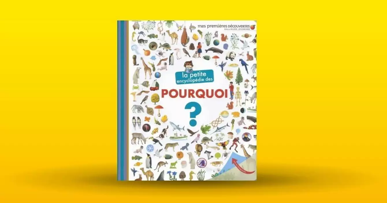 livre-petite-encyclopedie-pourquoi-enfant