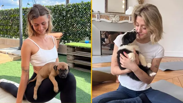 seance-yoga-chiot-puppy-yoga