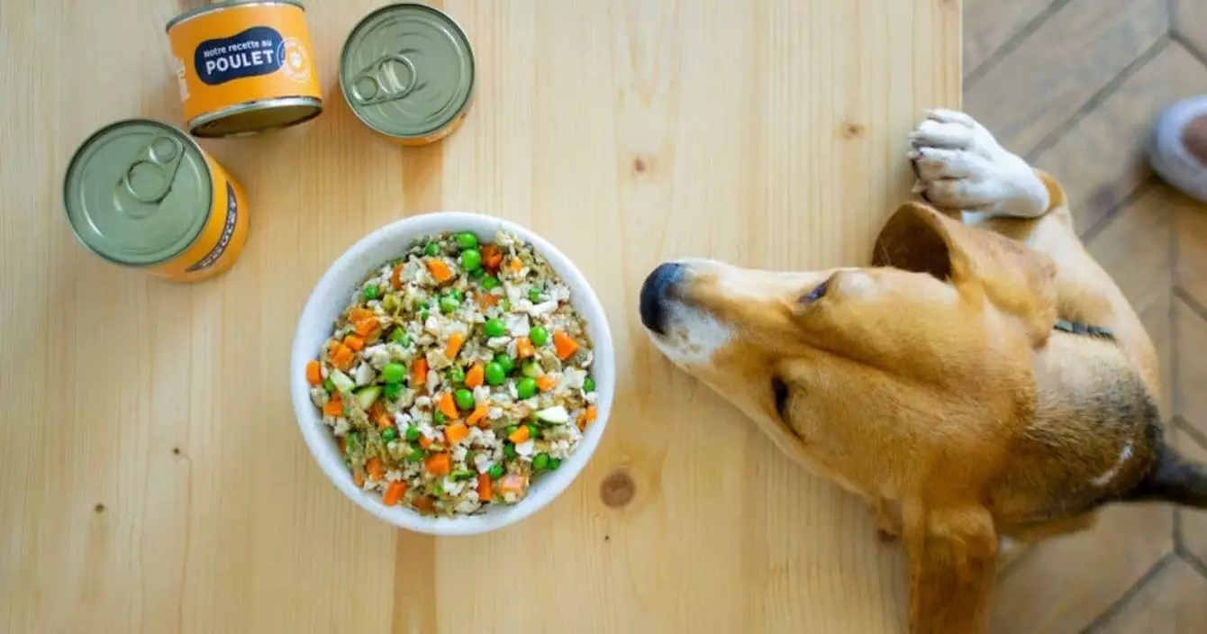 petty-well-menus-sains-100-naturels-chien