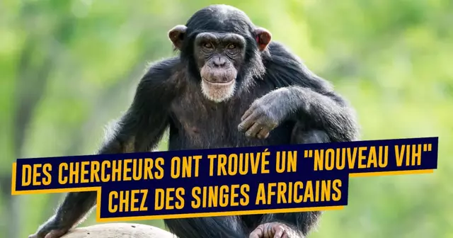 top mauvaises nouvelles 1