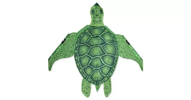 cerf-volant-tortue