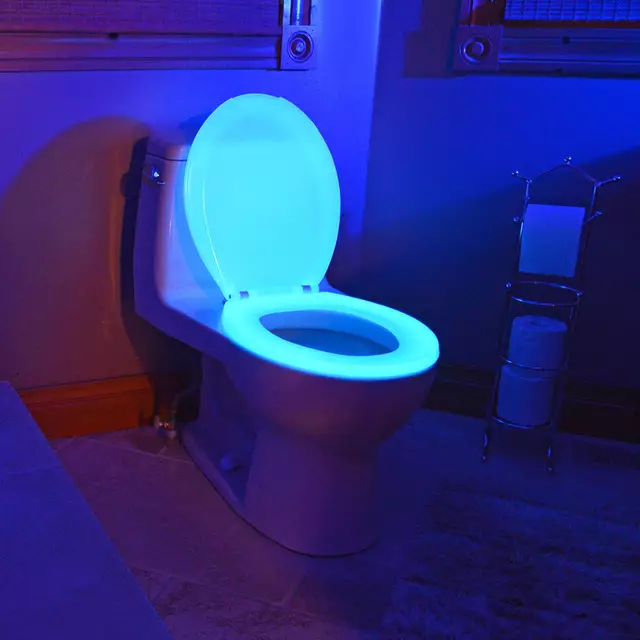 toilettes-fluo