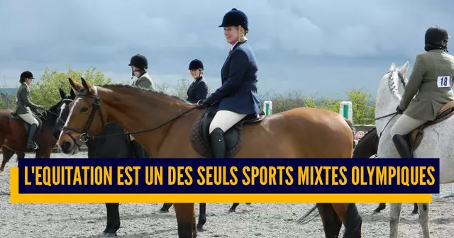 une_equitation_mixte