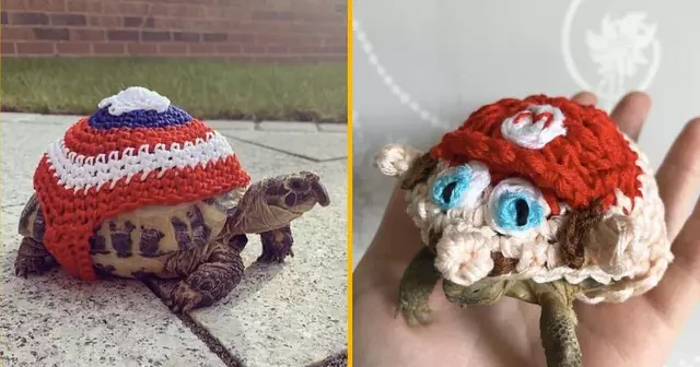 costume-tortue-personnalise