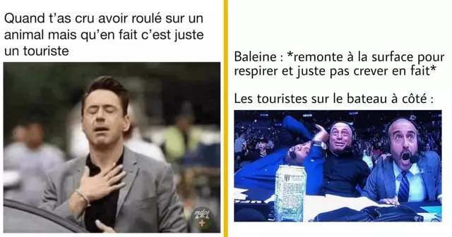 top memes touristes
