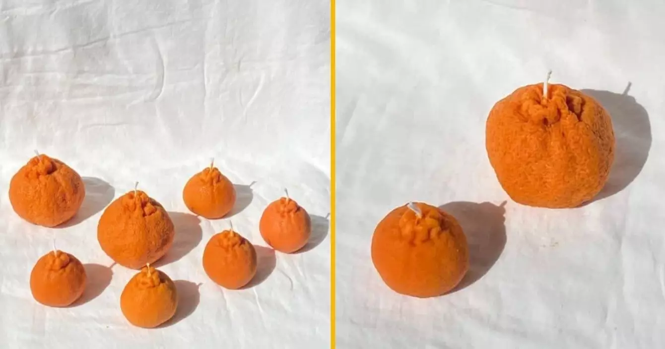 bougie-crottes-rennes