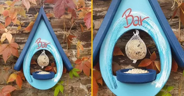 mangeoire-oiseau-bar