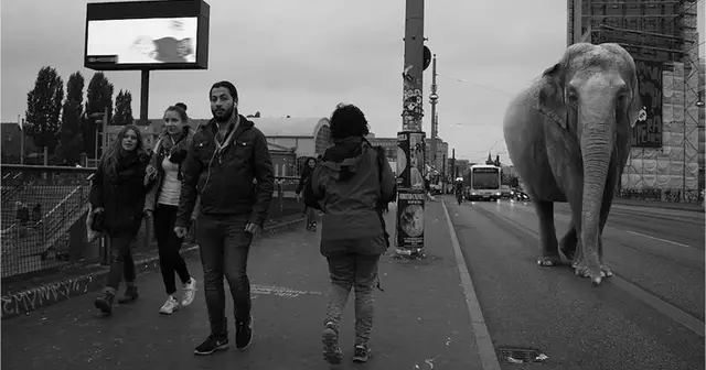 thezoo-0bjpg-900x598