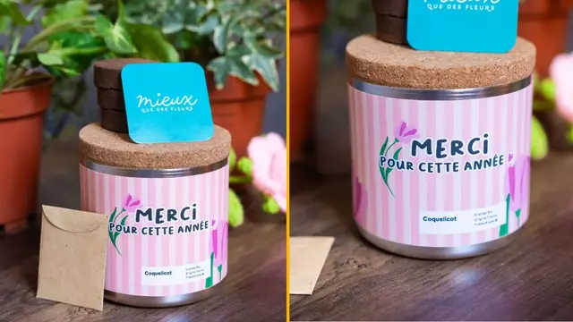 KIT-PLANTER-MERCI