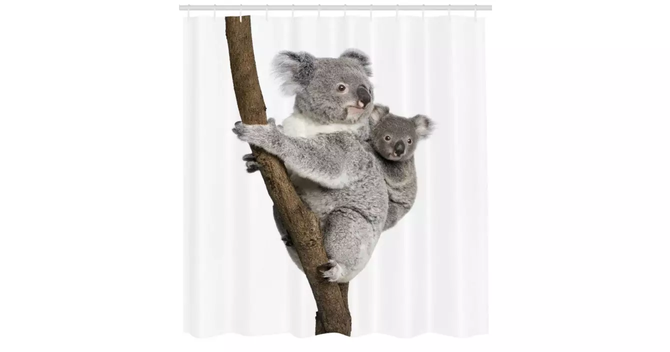 rideau-douche-koala