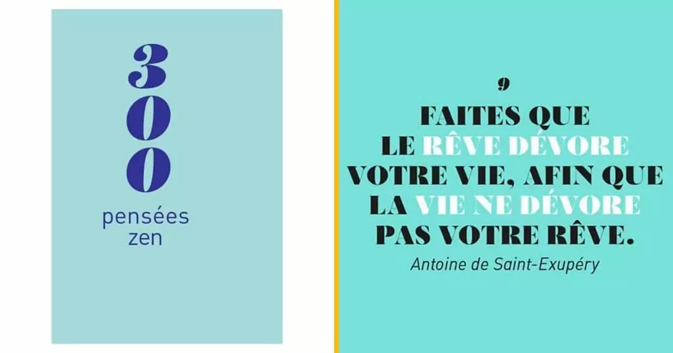 livre-300-pensees-zen