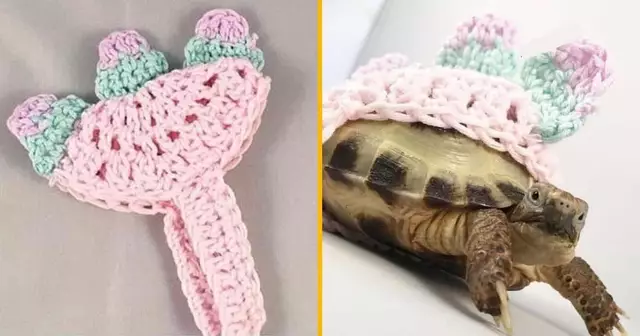 costume-dinosaure-tortue