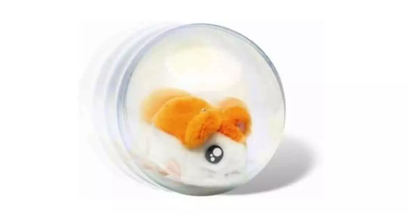 boule hamster hamtaro
