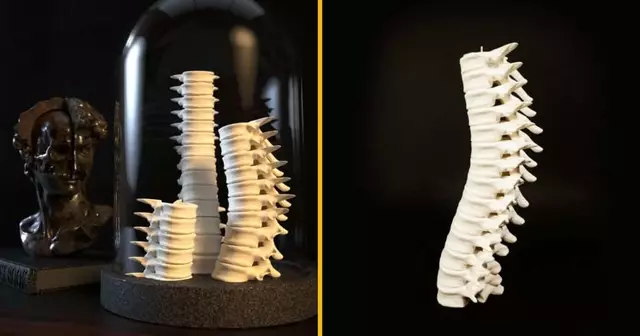 bougeoir-colonne-vertebrale