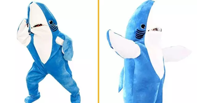 deguisement-requin-gentil